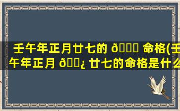 壬午年正月廿七的 🐅 命格(壬午年正月 🌿 廿七的命格是什么)